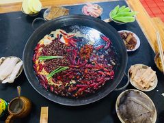 -肥龙火锅(南坪店)