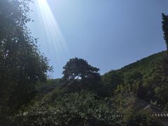 -贝儿多爸爸泡芙(合生汇店)