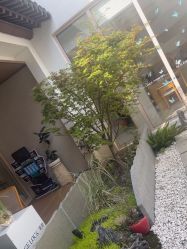 -AGE LOCK 锁龄美肌