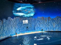 -珠海长隆海洋王国