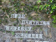 -马峦山郊野公园