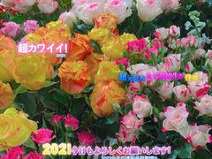 -T11生鲜超市(朝阳公园店)