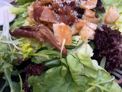 -Tubestation站点比萨(五道营店)