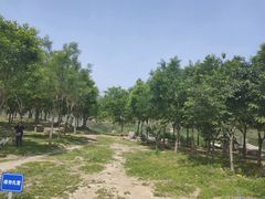 -马家湾湿地公园