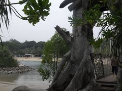 -巴拉湾海滩