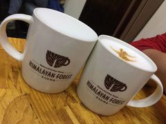 -喜马拉雅森HIMALAYAN FOREST