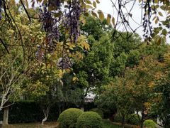 -苏州市立医院(白塔院区)