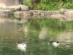 -白马涧龙池景区