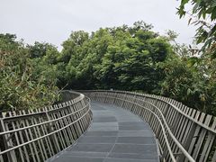 -福道
