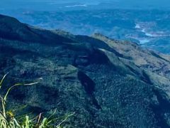 -霍顿平原国家公园