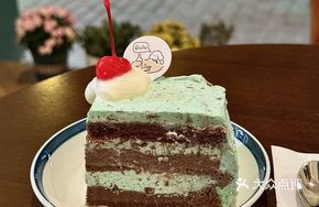 Mint Chocolate Square