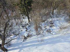 -长白山万达国际滑雪场