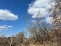 -亚布力新体委滑雪场