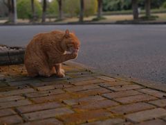 -华东政法大学(松江校区)