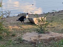 -长春市南湖公园