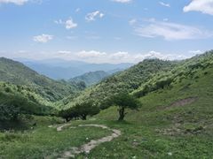 -朱雀国家森林公园