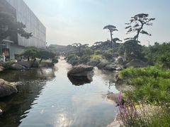 -罗红摄影艺术馆