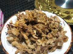 -草根堂农场
