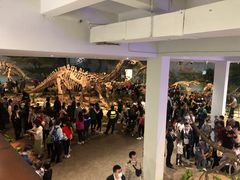 -自贡恐龙博物馆