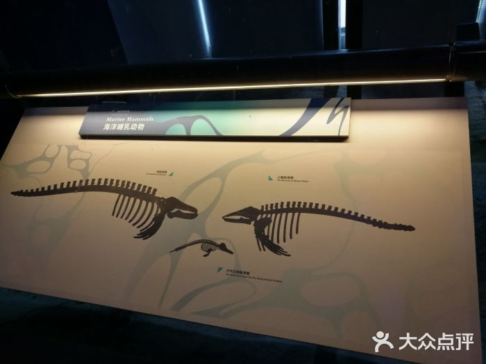 广东省博物馆景点图片
