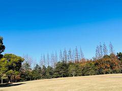 -上海滨江森林公园