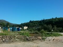 -肯德基(大学路DT店)