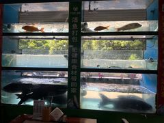 -好灶头妈妈菜·千岛湖土菜地标美食