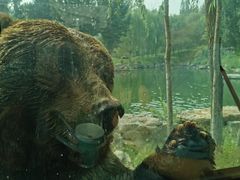 -北京野生动物园