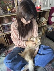 -MAGI美界造型