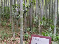 -南山风景名胜区