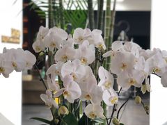 -晟永興烤鸭店(五道口店)