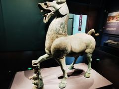 -广西壮族自治区博物馆