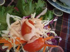 -卷心菜和避孕套餐厅(Pattaya)