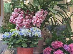 -泉乐坊步行街(烟酒特产平价超市店)