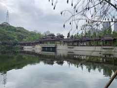 -重庆彩云湖湿地公园
