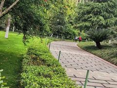 -龙头寺公园