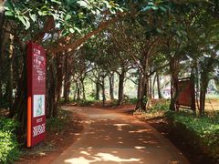 -白沙门生态公园
