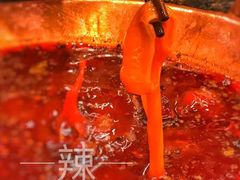 -老码头火锅(玉林店)