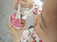 -Dip in Gelato(富民路店)