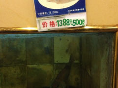 iphone_upload_pic-东郊椰林平价海鲜舫(大东海店)