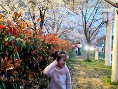 -华中科技大学光谷体育馆