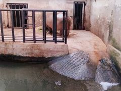 -石家庄市动物园