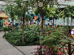 -南宫五洲植物乐园