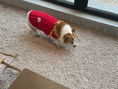 -J Create城市露营咖啡·简餐·宠物(上海动物园店)