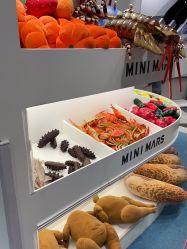 -MINI MARS KIDS CLUB亲子家庭中心(长宁天山店)