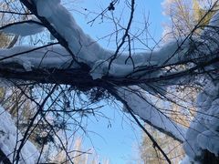 -峡谷浮石林景区