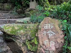 -西泠印社