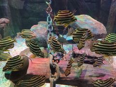 -沈阳海洋探索中心