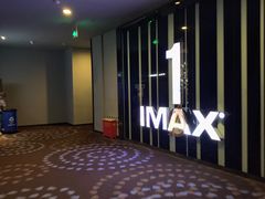 -万达影城(汉街万达广场IMAX店)