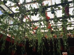 -珍巷福地四合院菜馆(复兴门店)